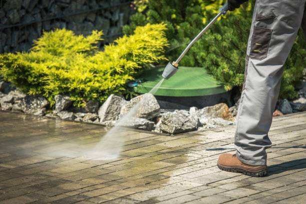 Animal Enclosure Cleaning in American Fork, UT